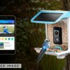 Gadgets Sharper Image | Video Camera Bird Feeder By Sharper Image