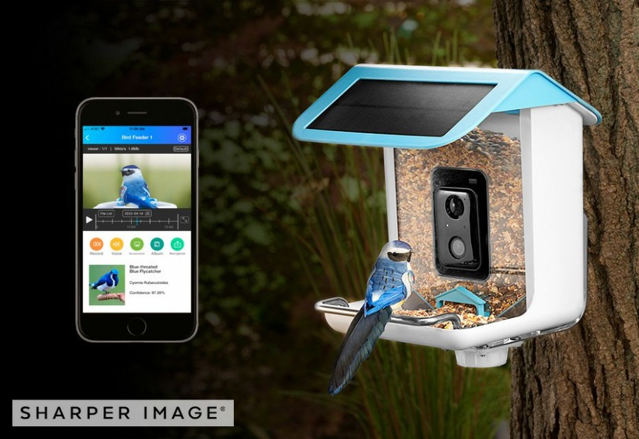 Gadgets Sharper Image | Video Camera Bird Feeder By Sharper Image