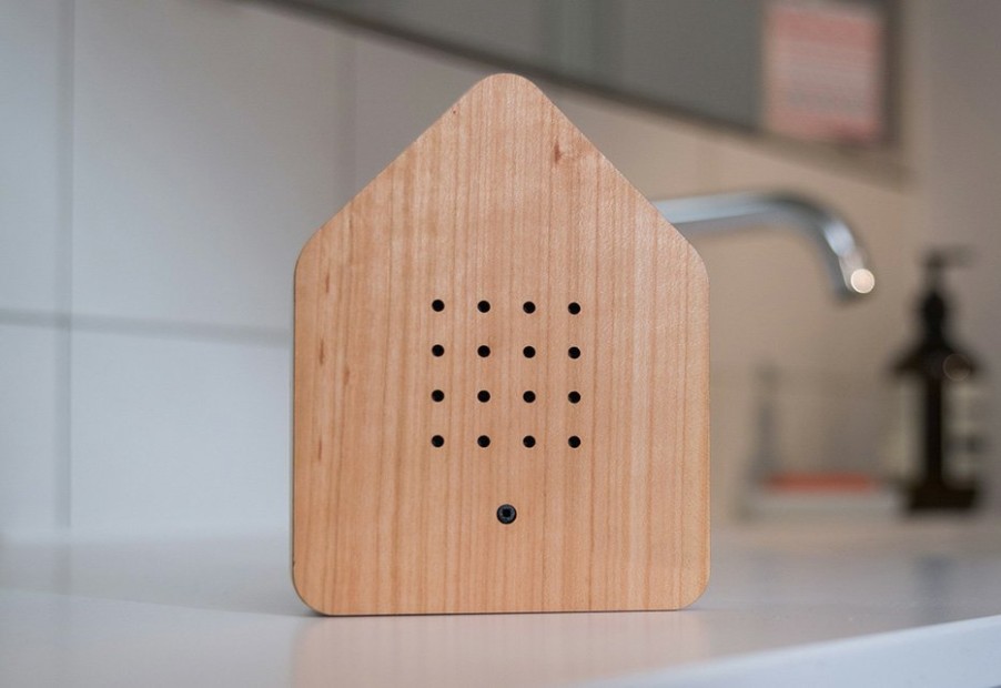 Home Brainstream Store | Chirping Bird Box