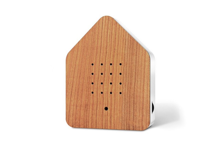 Home Brainstream Store | Chirping Bird Box