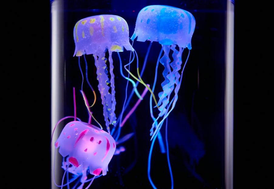 Man Cave Camelot SI, LLC | Jellyfish Aquarium