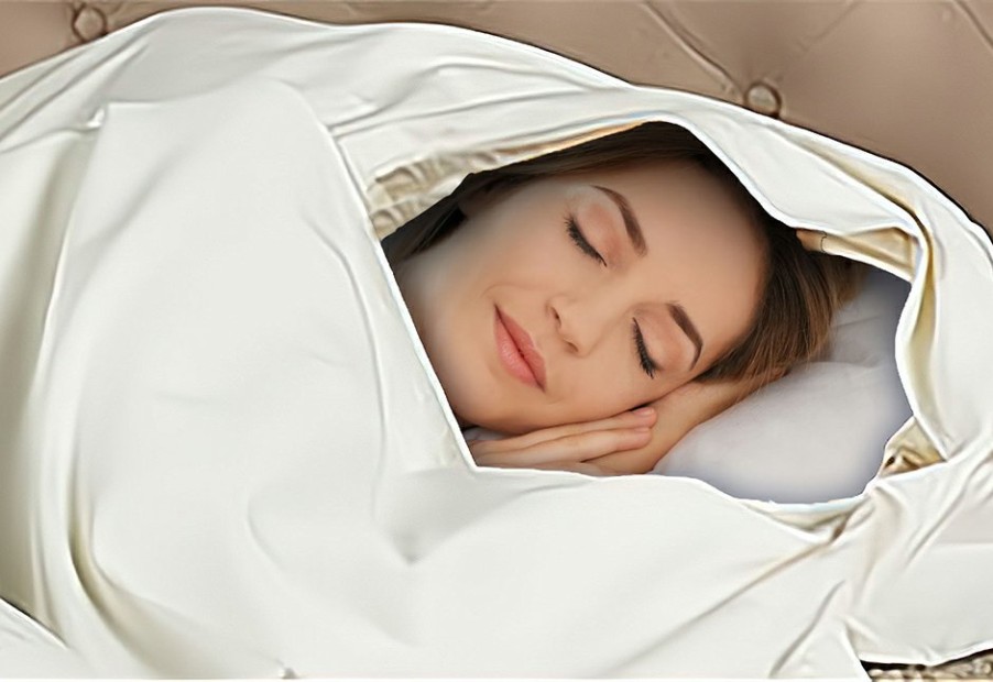 Travel & Auto Beauty Ko LLC | Hotel Sleeping Bag