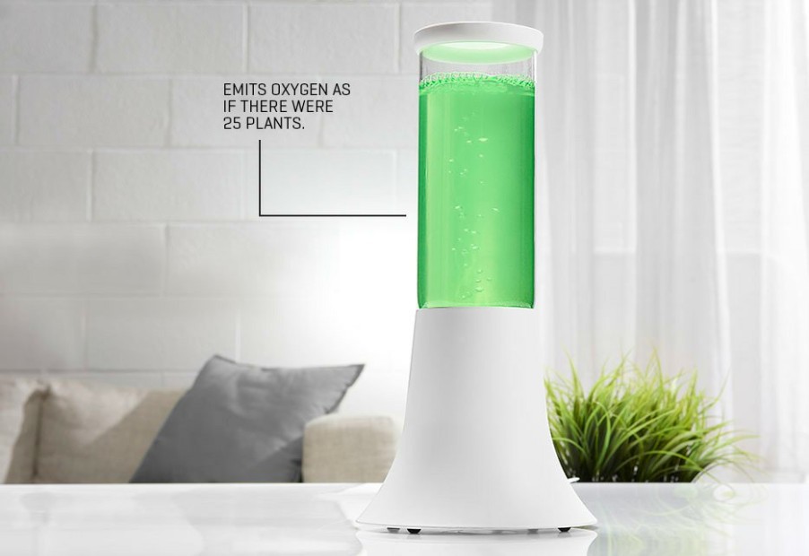 Home AlgenAir Inc. | Natural Algae Air Purifier