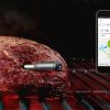 Kitchen & Entertaining Mastrad, Inc. | Wireless Meat Thermometer