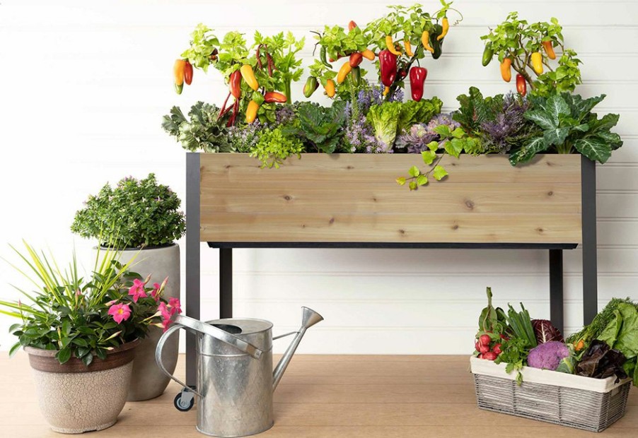 Outdoor Living Dobi & Associates, Inc. | Self-Watering Elevated Planter