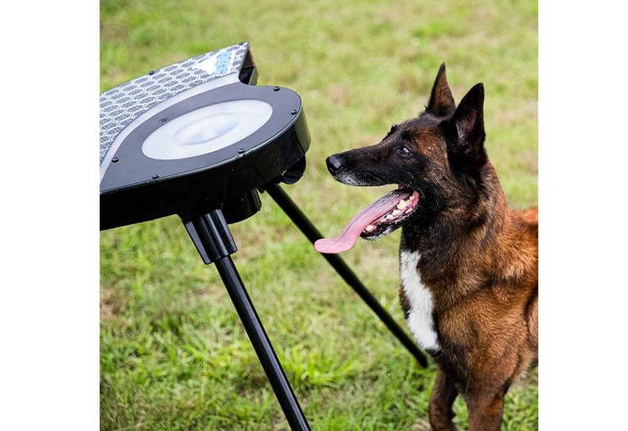 Outdoor Living FRANKLIN SPORTS | Automatic Dog Disc Launcher