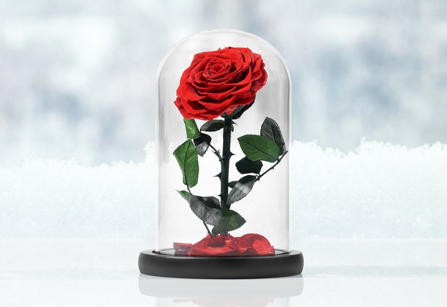 Corporate Gifts Sharper Image | Timeless Rose By Sharper Image