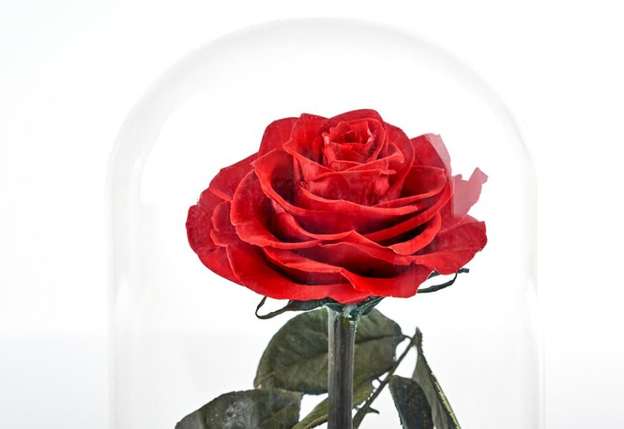 Corporate Gifts Sharper Image | Timeless Rose By Sharper Image